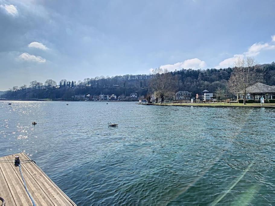 Vue Sur Meuse Avec Jacuzzi Et Sauna Exterieur. Yvoir Exteriér fotografie