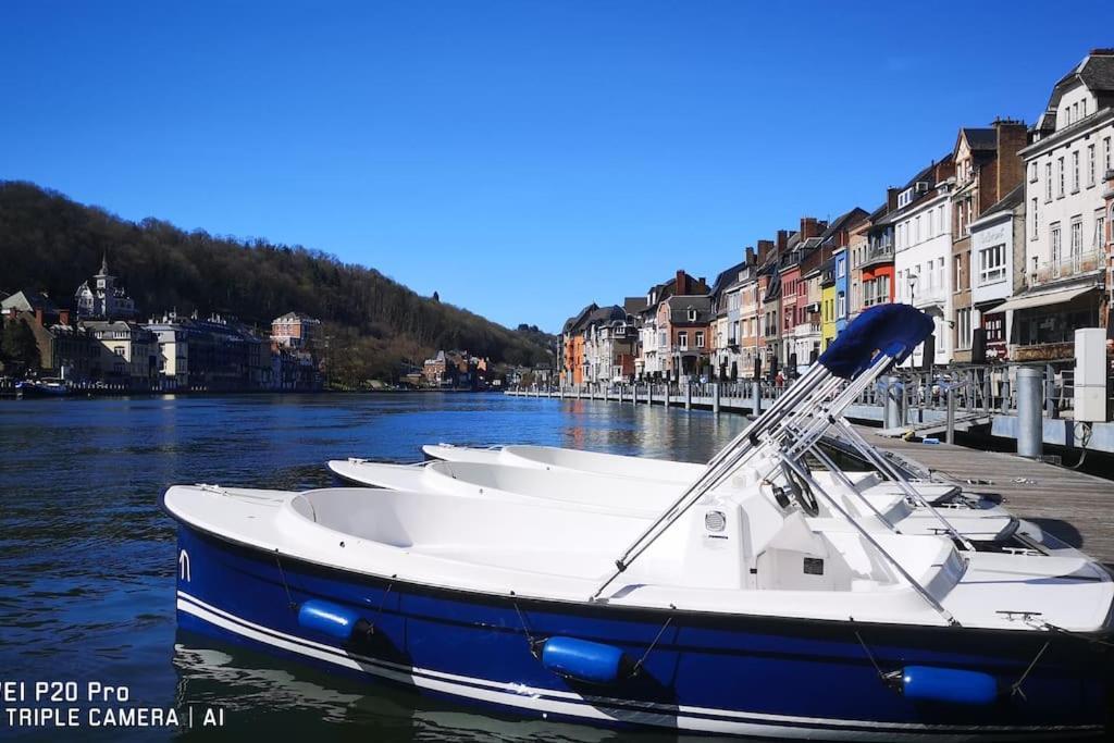 Vue Sur Meuse Avec Jacuzzi Et Sauna Exterieur. Yvoir Exteriér fotografie