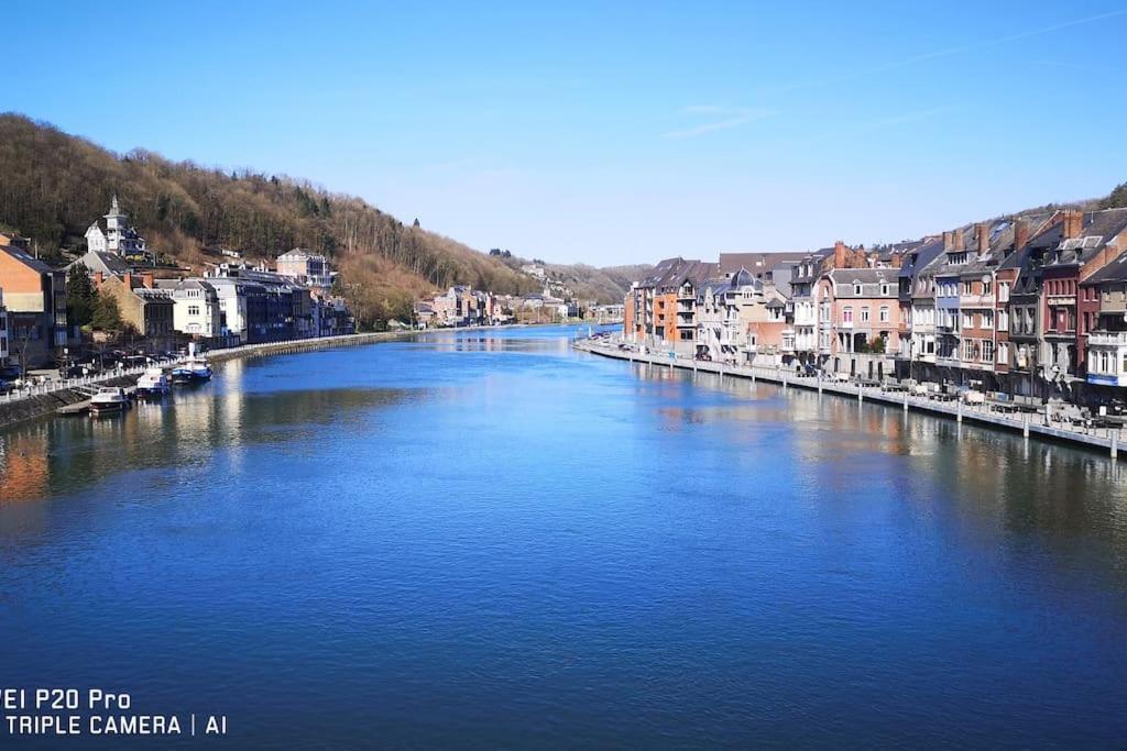Vue Sur Meuse Avec Jacuzzi Et Sauna Exterieur. Yvoir Exteriér fotografie